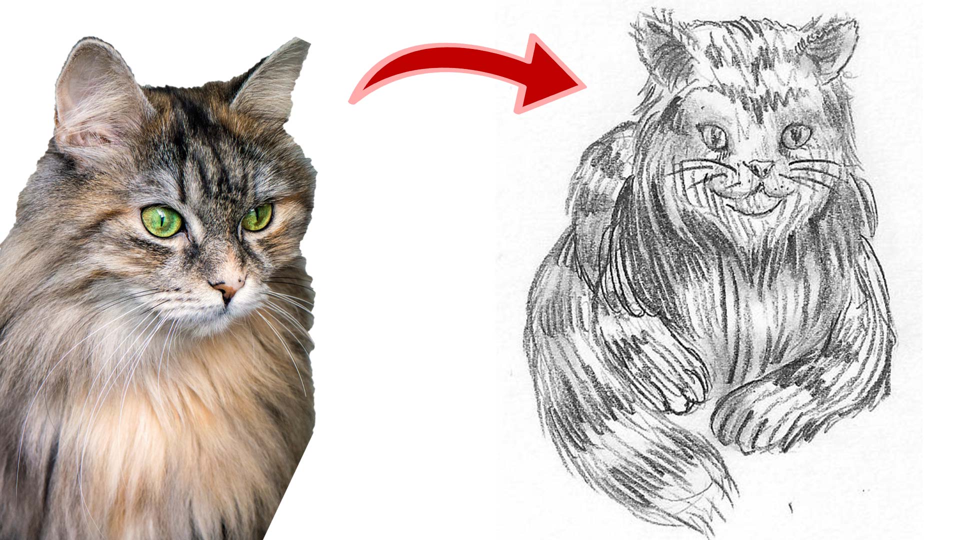 Katze Zeichnen Tutorial Für Meisterhaftes Katze Malen